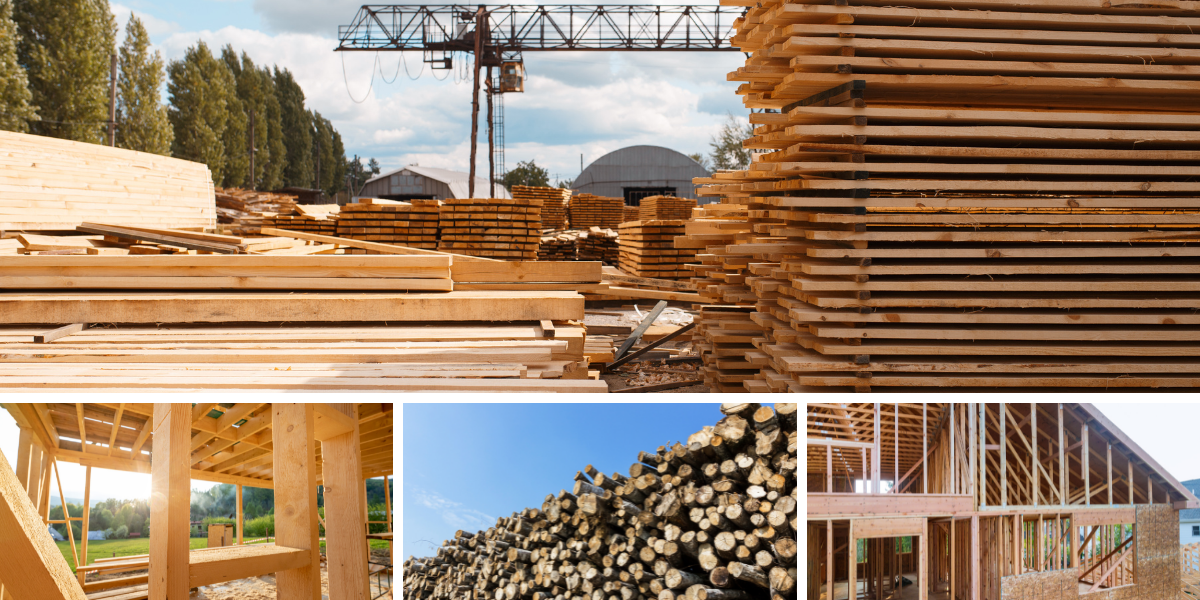 Timber in Construction - Risk v Reward | Griffiths & Armour